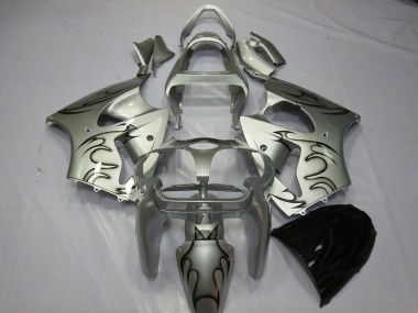2000-2002 Plata Llama Kawasaki ZX6R Carenado Moto