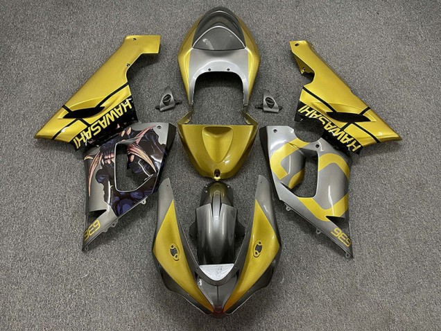 2005-2006 Oro & Plata Kawasaki ZX6R Carenado Moto 2005-2006 Oro & Plata Kawasaki ZX6R Carenado Moto