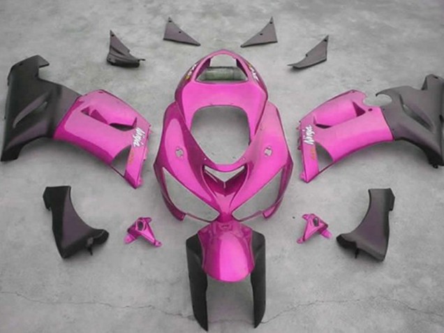 2005-2006 Rosa Kawasaki ZX6R Carenado Moto